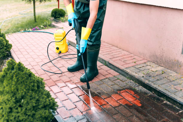 Best Fence Cleaning  in St Augusta, MN